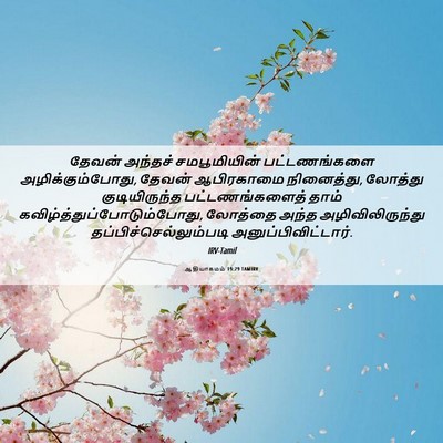Picture 06 - ஆதியாகமம் 19:29 TAMIRV - தேவன் அந்தச் - Bible Verse Picture