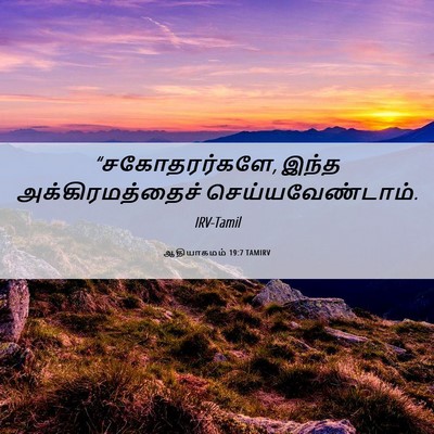 Picture 06 - ஆதியாகமம் 19:7 TAMIRV - “சகோதரர்களே, இந்த - Bible Verse Picture