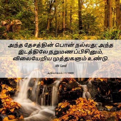Picture 06 - ஆதியாகமம் 2:12 TAMIRV - அந்த தேசத்தின் - Bible Verse Picture