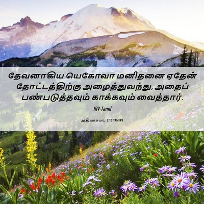 Picture 06 - ஆதியாகமம் 2:15 TAMIRV - தேவனாகிய யெகோவா - Bible Verse Picture