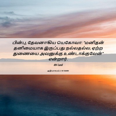 Picture 06 - ஆதியாகமம் 2:18 TAMIRV - பின்பு, தேவனாகிய - Bible Verse Picture