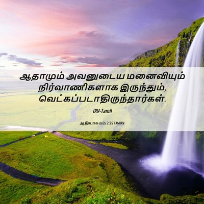 Picture 06 - ஆதியாகமம் 2:25 TAMIRV - ஆதாமும் அவனுடைய - Bible Verse Picture