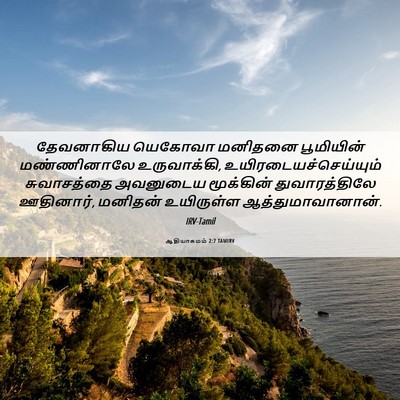 Picture 06 - ஆதியாகமம் 2:7 TAMIRV - தேவனாகிய யெகோவா - Bible Verse Picture