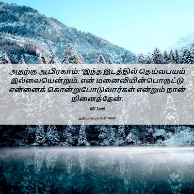 Picture 06 - ஆதியாகமம் 20:11 TAMIRV - அதற்கு ஆபிரகாம்: - Bible Verse Picture