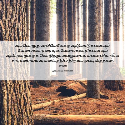 Picture 06 - ஆதியாகமம் 20:14 TAMIRV - அப்பொழுது - Bible Verse Picture