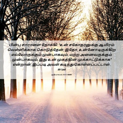 Picture 06 - ஆதியாகமம் 20:16 TAMIRV - பின்பு சாராளை - Bible Verse Picture