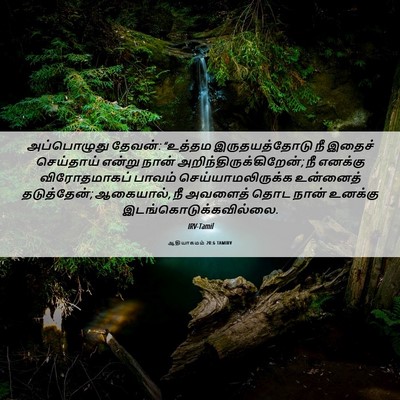 Picture 06 - ஆதியாகமம் 20:6 TAMIRV - அப்பொழுது தேவன்: - Bible Verse Picture
