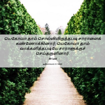 Picture 06 - ஆதியாகமம் 21:1 TAMIRV - யெகோவா தாம் - Bible Verse Picture