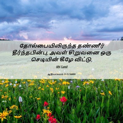 Picture 06 - ஆதியாகமம் 21:15 TAMIRV - தோல்பையிலிருந்த - Bible Verse Picture