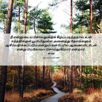 Picture 06 - ஆதியாகமம் 22:18 TAMIRV - நீ என்னுடைய - Bible Verse Picture