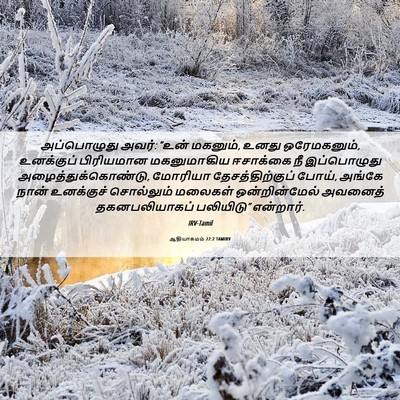 Picture 06 - ஆதியாகமம் 22:2 TAMIRV - அப்பொழுது அவர்: - Bible Verse Picture