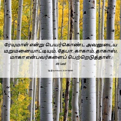 Picture 06 - ஆதியாகமம் 22:24 TAMIRV - ரேயுமாள் என்று - Bible Verse Picture