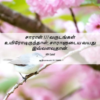 Picture 06 - ஆதியாகமம் 23:1 TAMIRV - சாராள் 127 - Bible Verse Picture