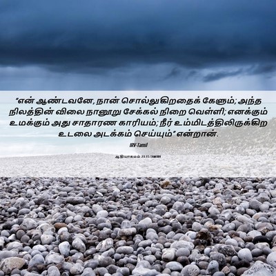 Picture 06 - ஆதியாகமம் 23:15 TAMIRV - “என் ஆண்டவனே, நான் - Bible Verse Picture