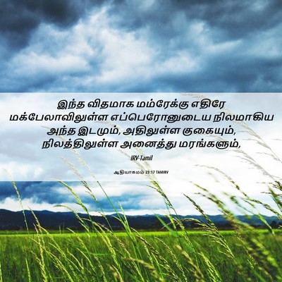 Picture 06 - ஆதியாகமம் 23:17 TAMIRV - இந்த விதமாக - Bible Verse Picture