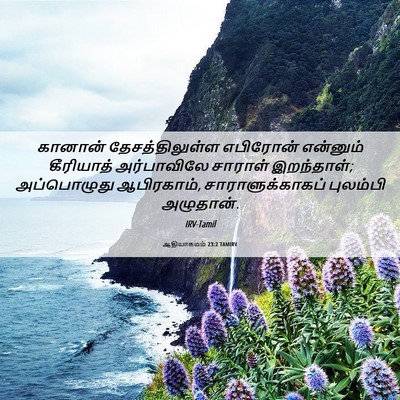 Picture 06 - ஆதியாகமம் 23:2 TAMIRV - கானான் - Bible Verse Picture