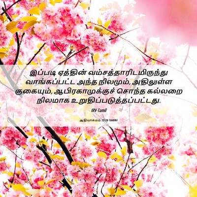 Picture 06 - ஆதியாகமம் 23:20 TAMIRV - இப்படி ஏத்தின் - Bible Verse Picture