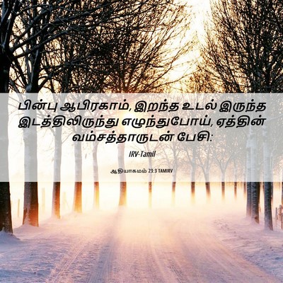 Picture 06 - ஆதியாகமம் 23:3 TAMIRV - பின்பு ஆபிரகாம், - Bible Verse Picture