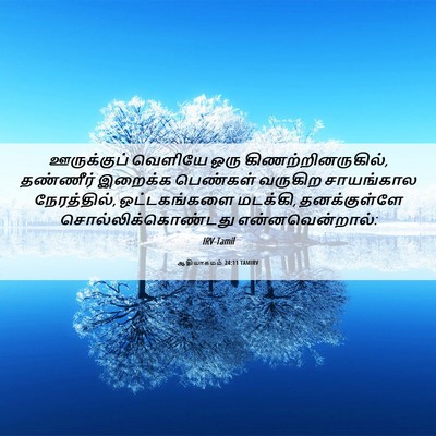 Picture 06 - ஆதியாகமம் 24:11 TAMIRV - ஊருக்குப் வெளியே - Bible Verse Picture