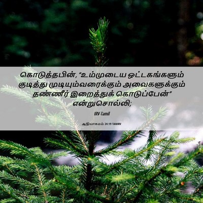Picture 06 - ஆதியாகமம் 24:19 TAMIRV - கொடுத்தபின், - Bible Verse Picture