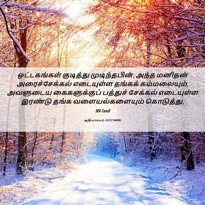 Picture 06 - ஆதியாகமம் 24:22 TAMIRV - ஒட்டகங்கள் - Bible Verse Picture