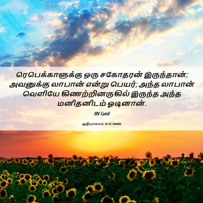 Picture 06 - ஆதியாகமம் 24:29 TAMIRV - ரெபெக்காளுக்கு - Bible Verse Picture
