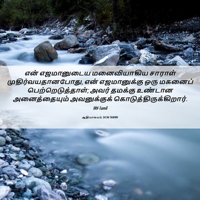 Picture 06 - ஆதியாகமம் 24:36 TAMIRV - என் எஜமானுடைய - Bible Verse Picture
