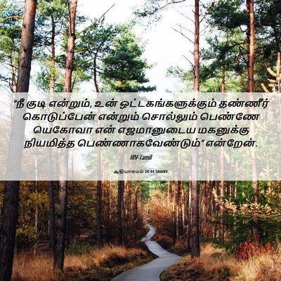 Picture 06 - ஆதியாகமம் 24:44 TAMIRV - “நீ குடி என்றும், - Bible Verse Picture