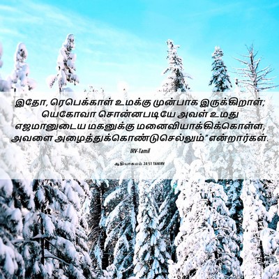 Picture 06 - ஆதியாகமம் 24:51 TAMIRV - இதோ, ரெபெக்காள் - Bible Verse Picture