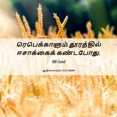 Picture 06 - ஆதியாகமம் 24:64 TAMIRV - ரெபெக்காளும் - Bible Verse Picture