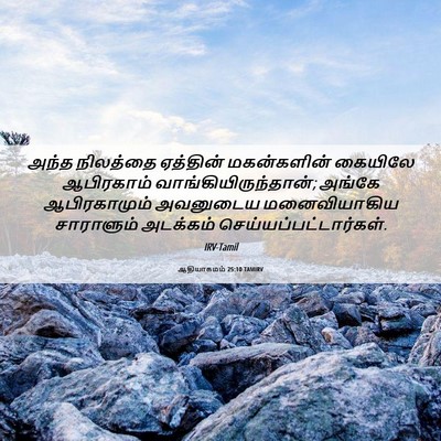 Picture 06 - ஆதியாகமம் 25:10 TAMIRV - அந்த நிலத்தை - Bible Verse Picture