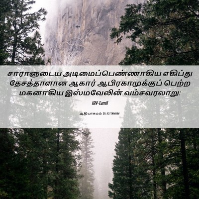 Picture 06 - ஆதியாகமம் 25:12 TAMIRV - சாராளுடைய - Bible Verse Picture