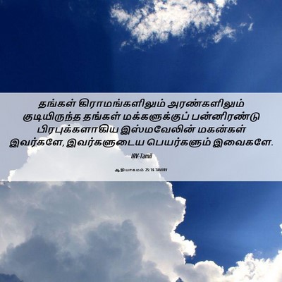 Picture 06 - ஆதியாகமம் 25:16 TAMIRV - தங்கள் - Bible Verse Picture