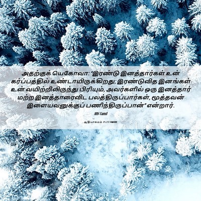 Picture 06 - ஆதியாகமம் 25:23 TAMIRV - அதற்குக் யெகோவா: - Bible Verse Picture