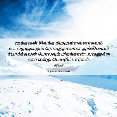 Picture 06 - ஆதியாகமம் 25:25 TAMIRV - மூத்தவன் சிவந்த - Bible Verse Picture