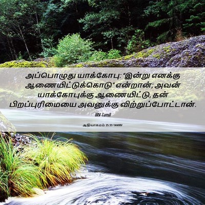 Picture 06 - ஆதியாகமம் 25:33 TAMIRV - அப்பொழுது - Bible Verse Picture