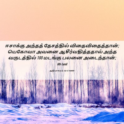 Picture 06 - ஆதியாகமம் 26:12 TAMIRV - ஈசாக்கு அந்தத் - Bible Verse Picture