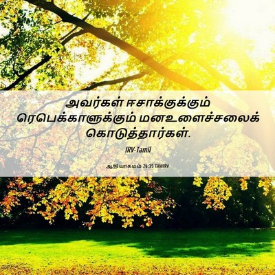 Picture 06 - ஆதியாகமம் 26:35 TAMIRV - அவர்கள் - Bible Verse Picture