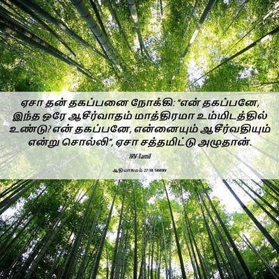 Picture 06 - ஆதியாகமம் 27:38 TAMIRV - ஏசா தன் தகப்பனை - Bible Verse Picture