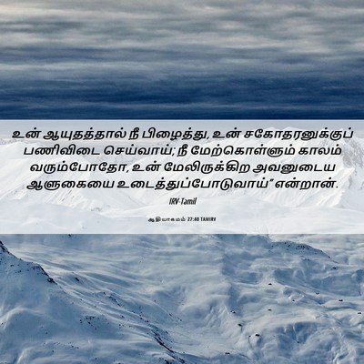 Picture 06 - ஆதியாகமம் 27:40 TAMIRV - உன் ஆயுதத்தால் நீ - Bible Verse Picture