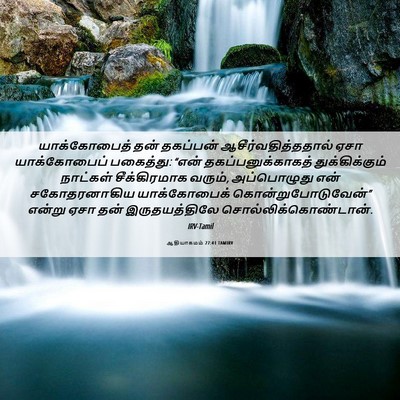 Picture 06 - ஆதியாகமம் 27:41 TAMIRV - யாக்கோபைத் தன் - Bible Verse Picture