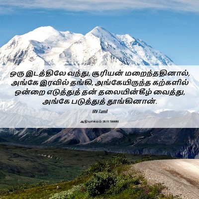 Picture 06 - ஆதியாகமம் 28:11 TAMIRV - ஒரு இடத்திலே - Bible Verse Picture