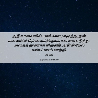 Picture 06 - ஆதியாகமம் 28:18 TAMIRV - அதிகாலையில் - Bible Verse Picture