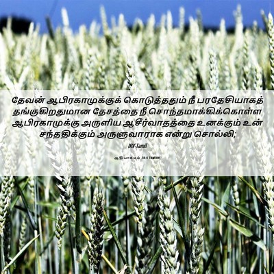 Picture 06 - ஆதியாகமம் 28:4 TAMIRV - தேவன் - Bible Verse Picture