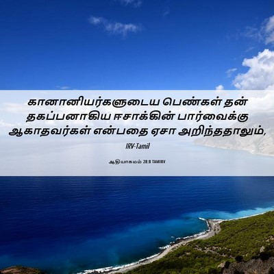 Picture 06 - ஆதியாகமம் 28:8 TAMIRV - கானானியர்களுடைய - Bible Verse Picture