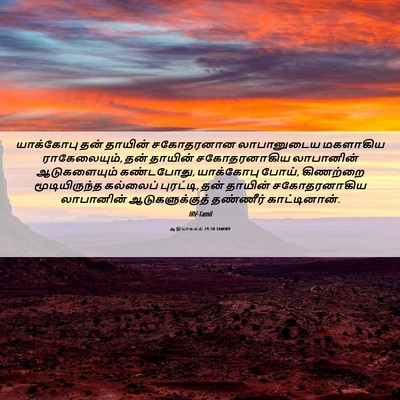 Picture 06 - ஆதியாகமம் 29:10 TAMIRV - யாக்கோபு தன் - Bible Verse Picture