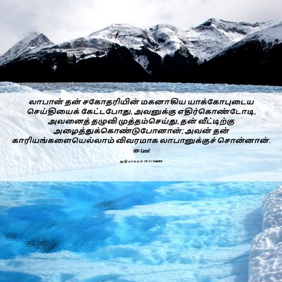 Picture 06 - ஆதியாகமம் 29:13 TAMIRV - லாபான் தன் - Bible Verse Picture