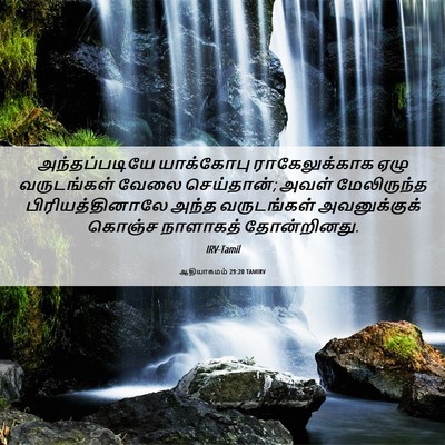 Picture 06 - ஆதியாகமம் 29:20 TAMIRV - அந்தப்படியே - Bible Verse Picture