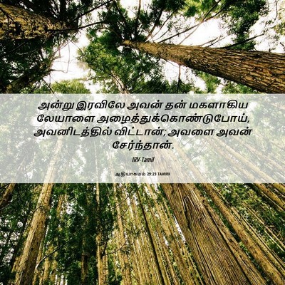 Picture 06 - ஆதியாகமம் 29:23 TAMIRV - அன்று இரவிலே அவன் - Bible Verse Picture