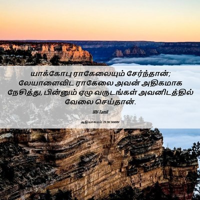 Picture 06 - ஆதியாகமம் 29:30 TAMIRV - யாக்கோபு - Bible Verse Picture